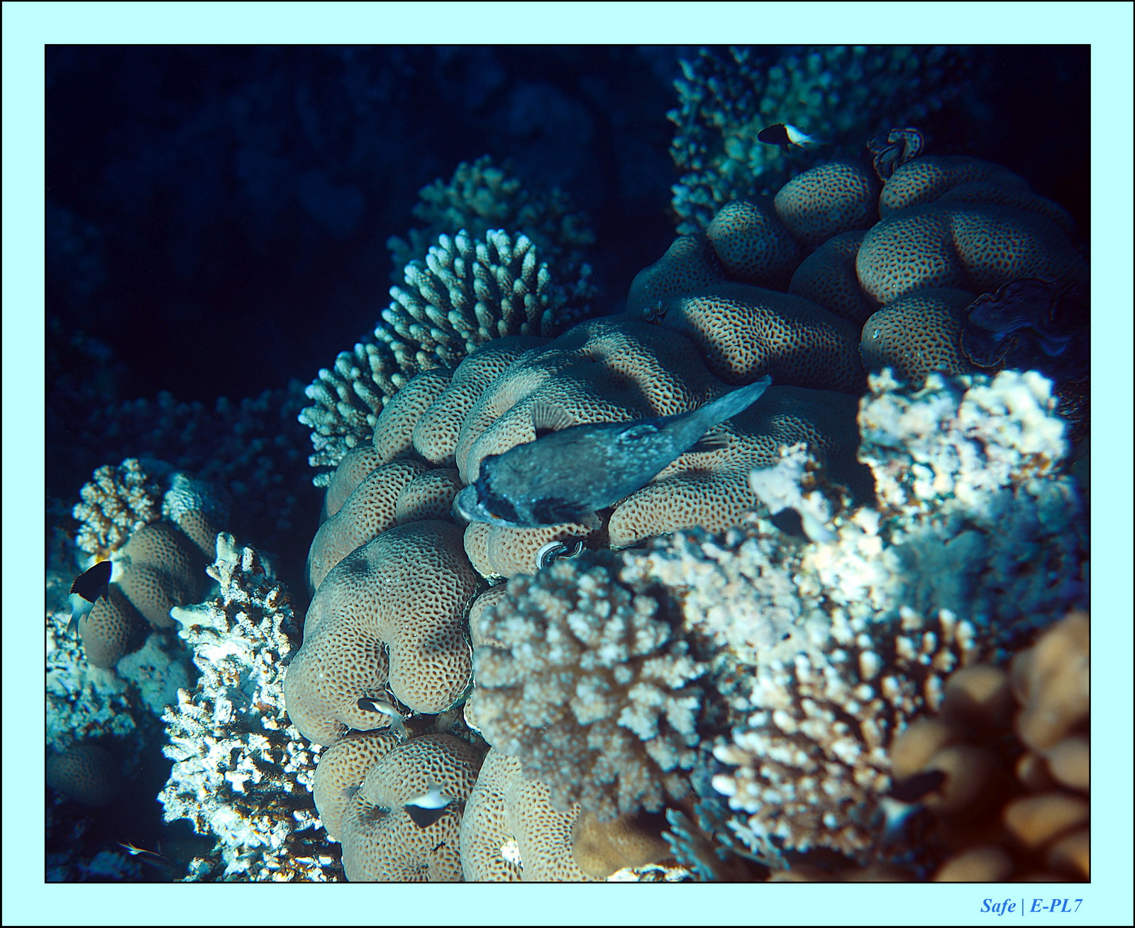 Hurghada - Aout 2021 - 033